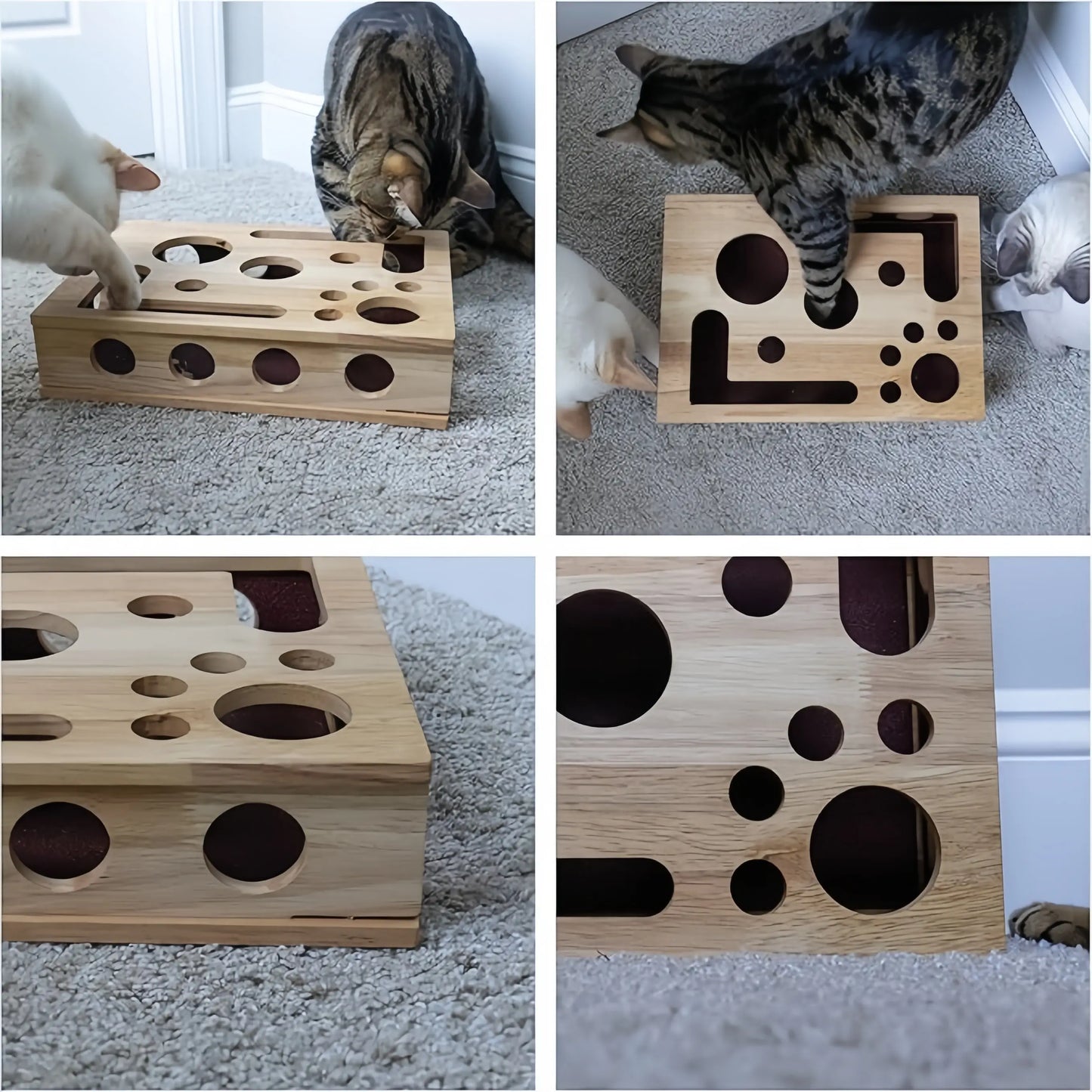 Cat Nail File Enrichment Box