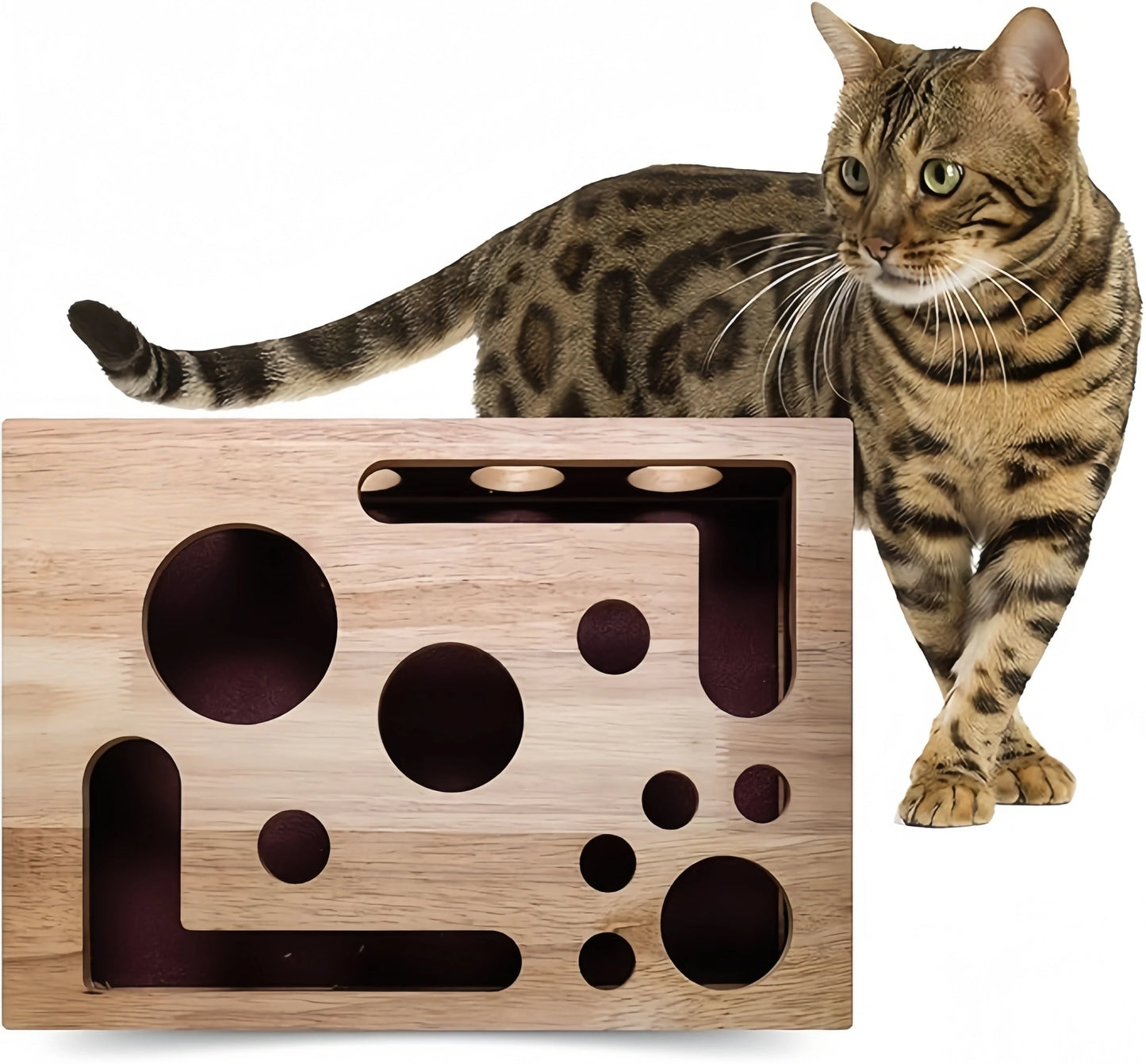 Cat Nail File Enrichment Box
