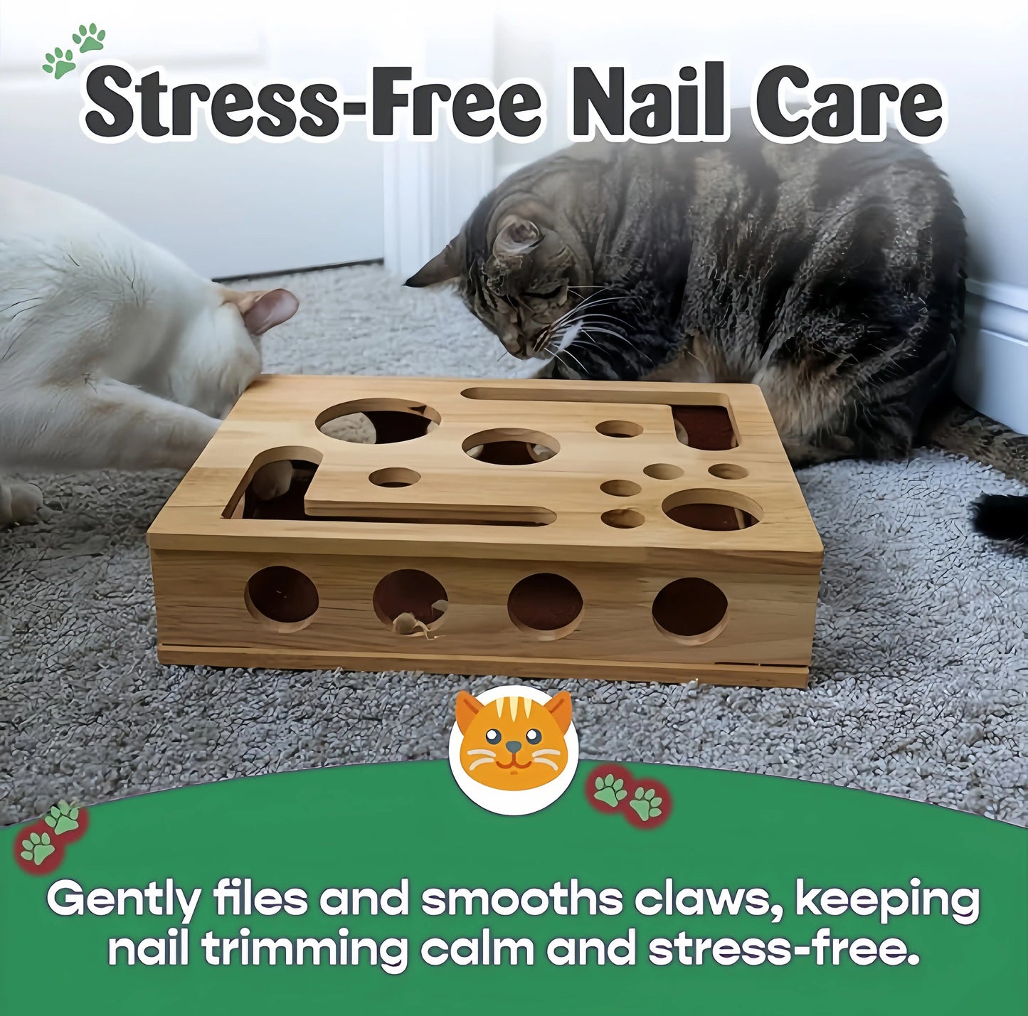 Cat Nail File Enrichment Box